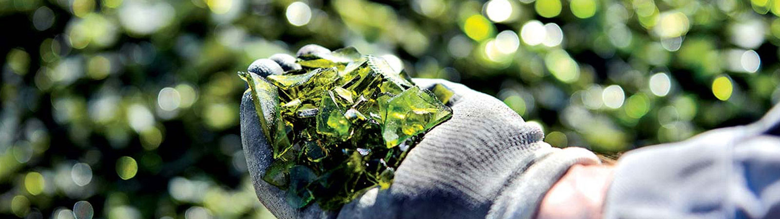 BB��Ѷ��(�й���)���޹�˾