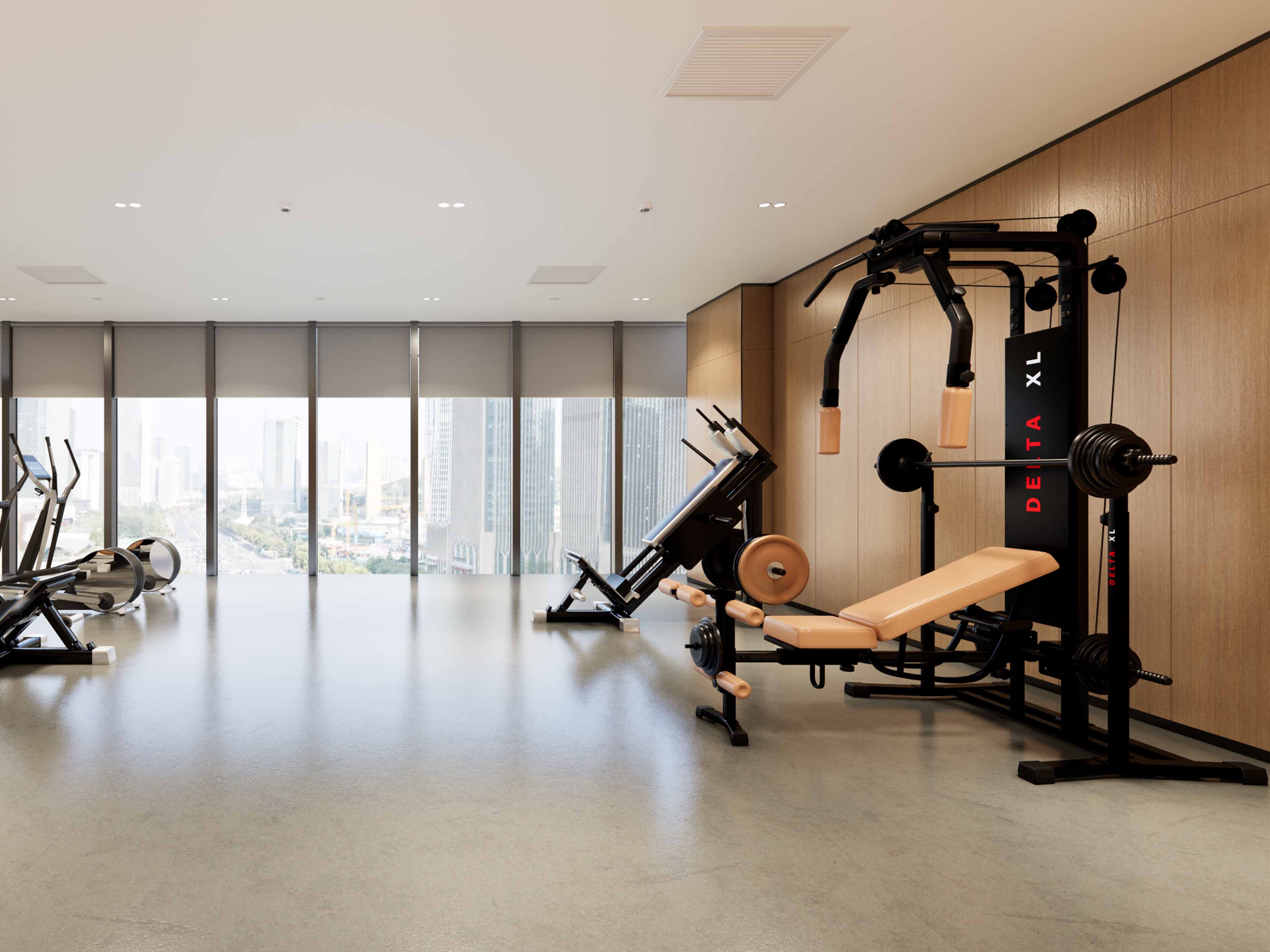 ����ľ������