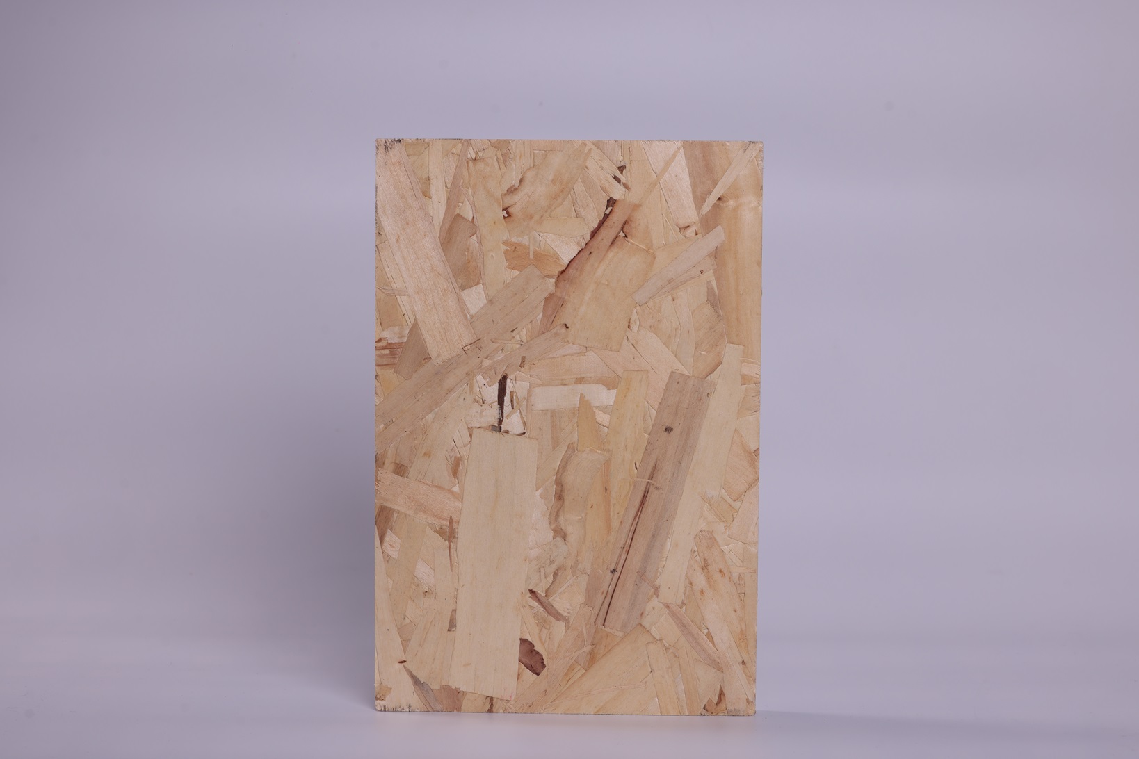 BB��Ѷ��(�й���)���޹�˾