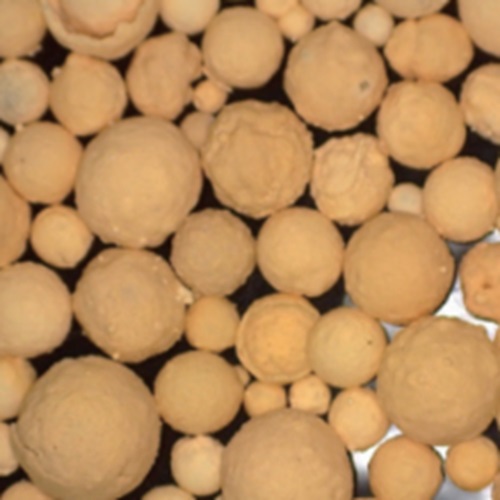 BB��Ѷ��(�й���)���޹�˾