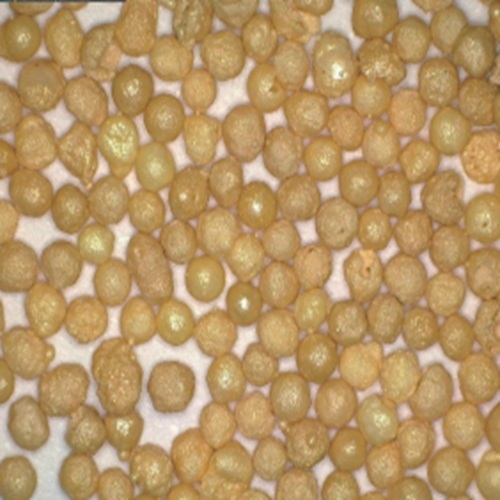 BB��Ѷ��(�й���)���޹�˾