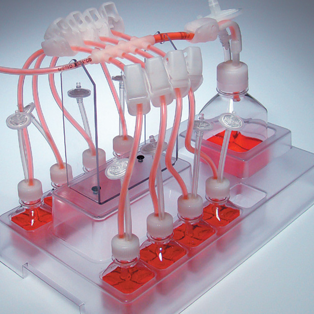 BB��Ѷ��(�й���)���޹�˾