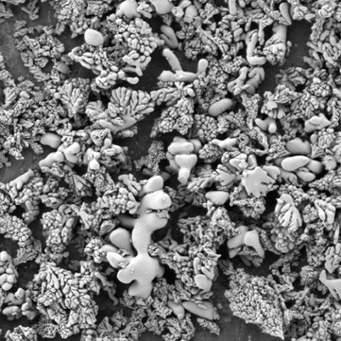 BB��Ѷ��(�й���)���޹�˾