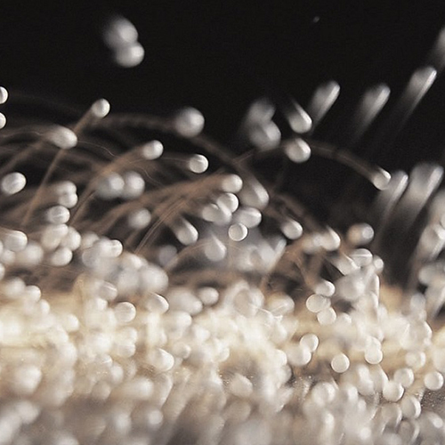 BB��Ѷ��(�й���)���޹�˾