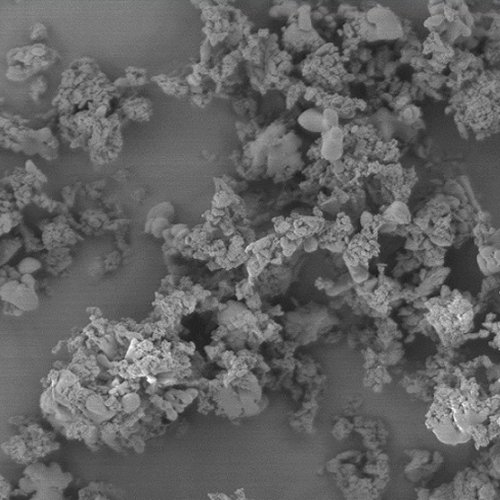 BB��Ѷ��(�й���)���޹�˾