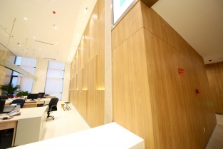 ɽ����������Ч������